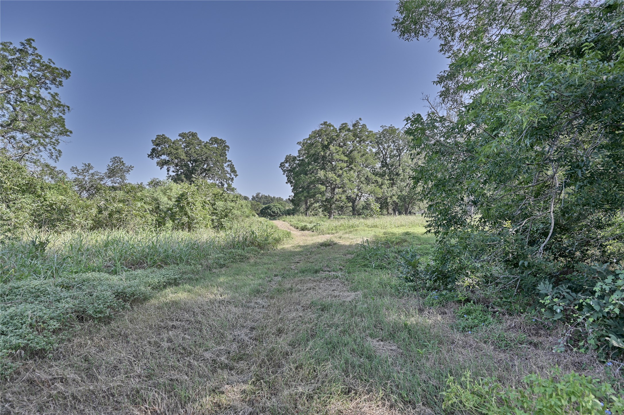 2980 Rabbs Prairie Road La Grange, TX 78945 - Photo 24 of 28 A verdant, open pasture unfolds, offering an ideal setting for a private retreat.