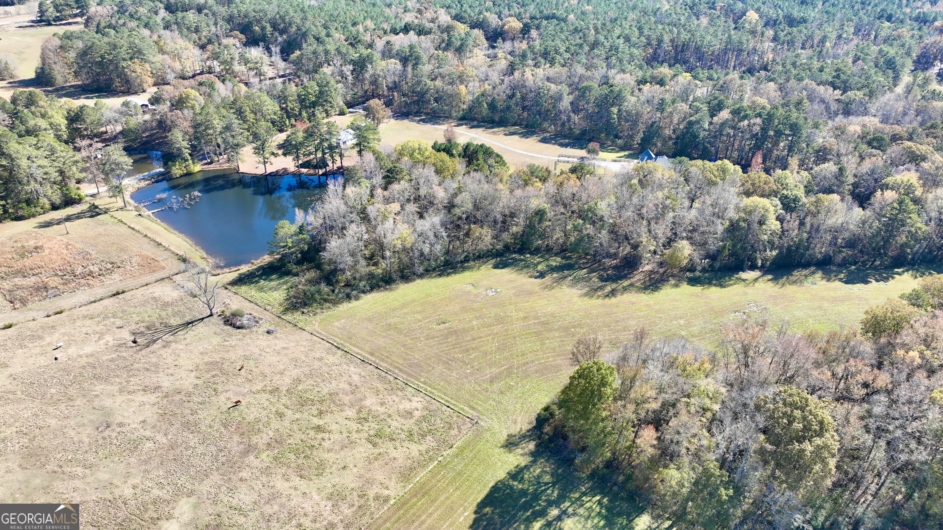 Lot 8 Mask Road Brooks, GA 30205 - Photo 2 of 14 a view of a yard with trees