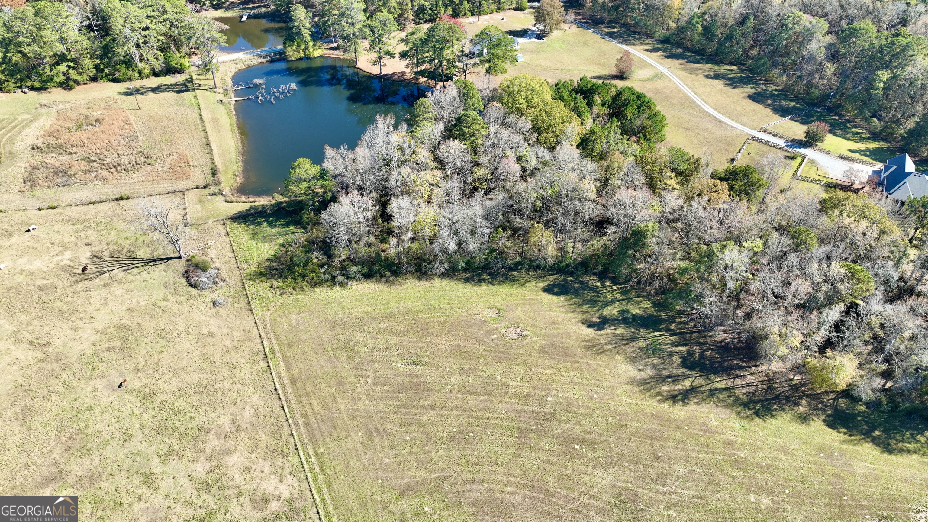 Lot 8 Mask Road Brooks, GA 30205 - Photo 5 of 14 a view of a yard with plants