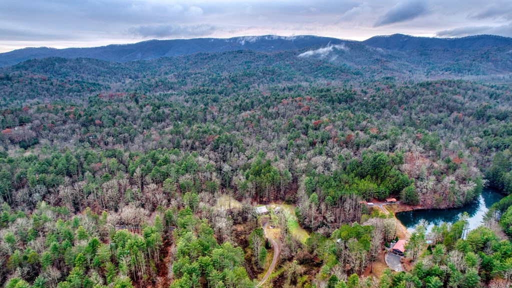 628 Seth Hyatt Road Ellijay, GA 30540 - Photo 40 of 63 Gallery Image 40