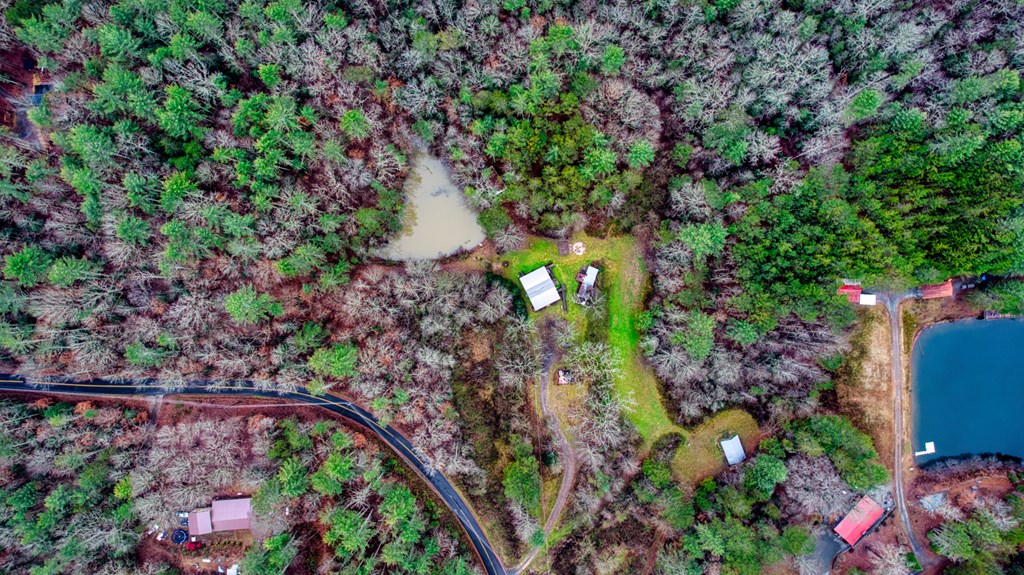 628 Seth Hyatt Road Ellijay, GA 30540 - Photo 45 of 63 Gallery Image 45