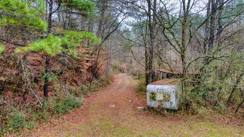 628 Seth Hyatt Road Ellijay, GA 30540 - Photo 48 of 63 Gallery Image 48