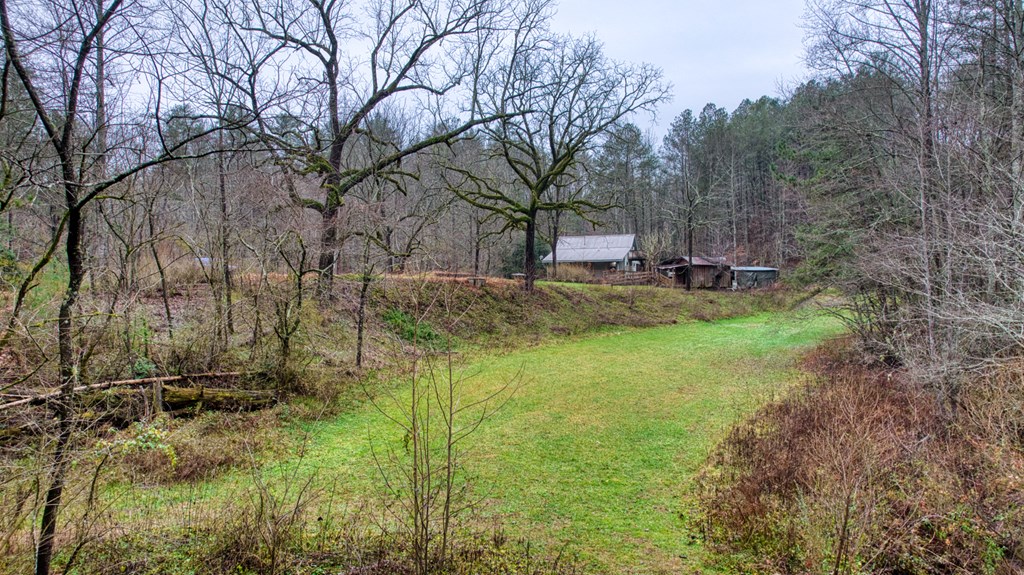 628 Seth Hyatt Road Ellijay, GA 30540 - Photo 49 of 63 Gallery Image 49