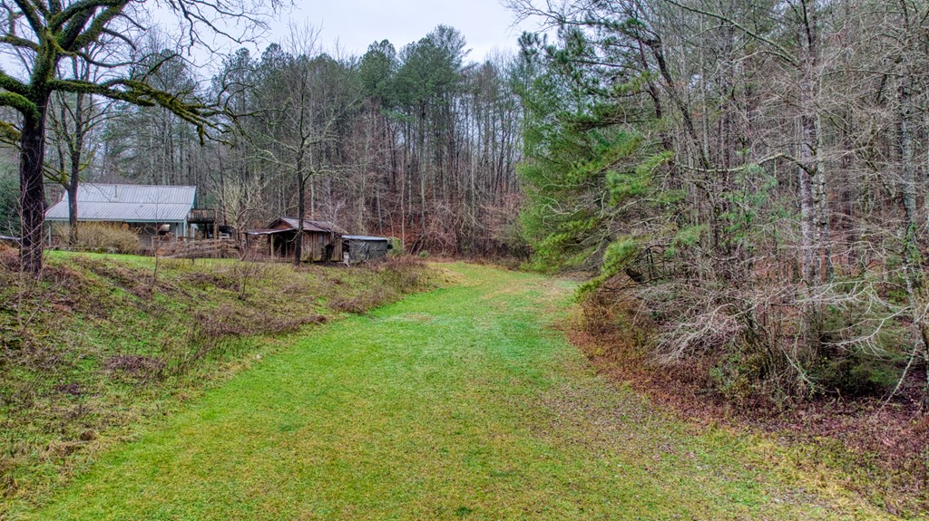 628 Seth Hyatt Road Ellijay, GA 30540 - Photo 50 of 63 Gallery Image 50