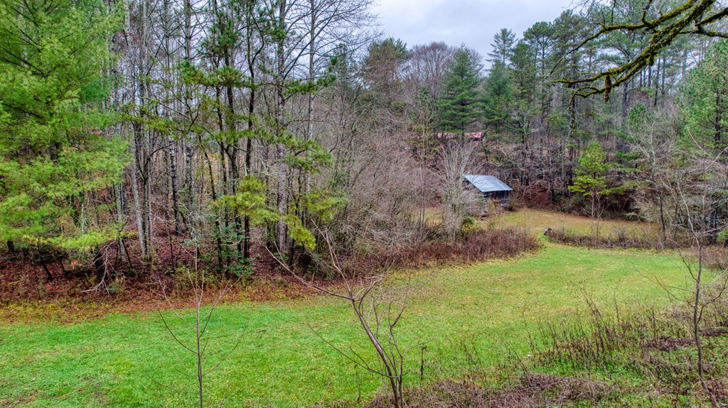 628 Seth Hyatt Road Ellijay, GA 30540 - Photo 54 of 63 Gallery Image 54