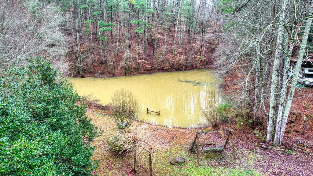 628 Seth Hyatt Road Ellijay, GA 30540 - Photo 63 of 63 Gallery Image 63