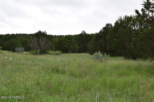 Umpire Ranch Road Elgin, AZ 85611 - Photo 14 of 27