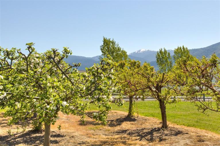 1600 Butler Creek Road Ashland, OR 97520 - Photo 24 of 24 Additional Photo