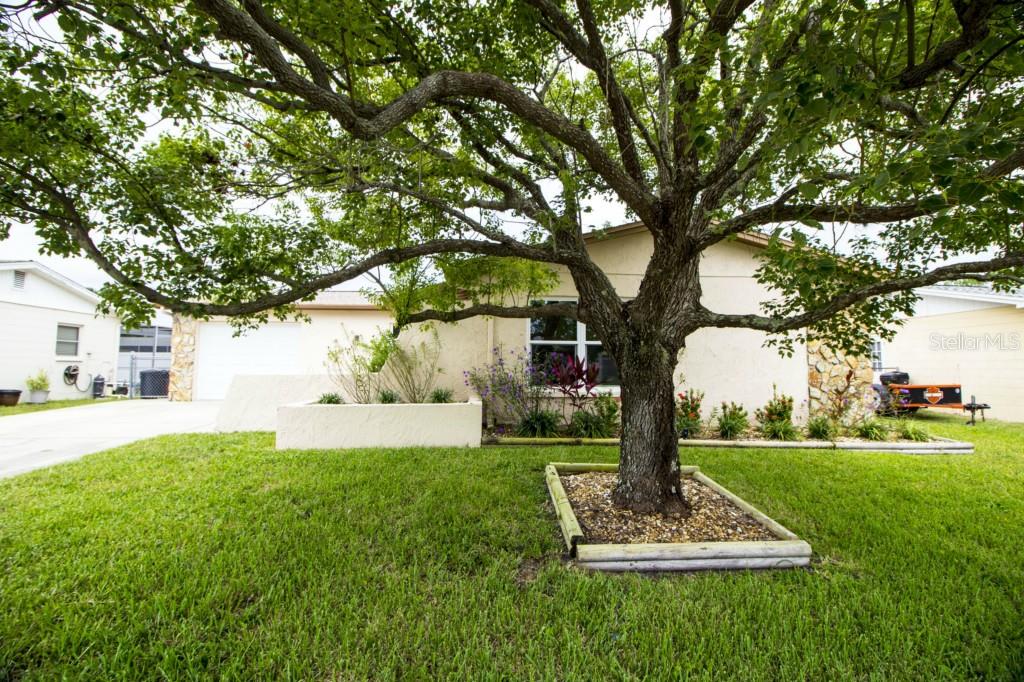 Front view. Pristine home