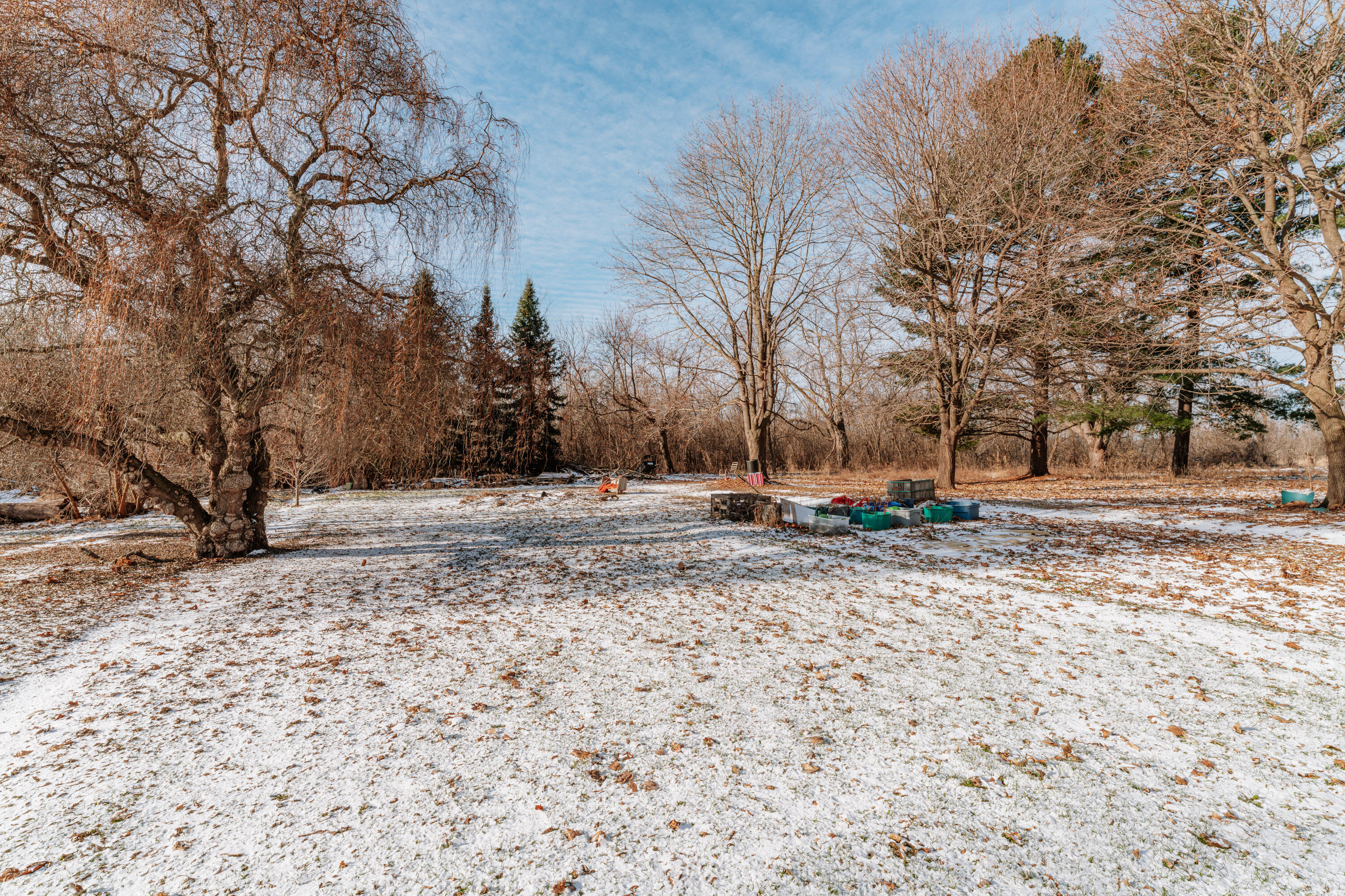 N6335 County Road East Concord, WI 53066 - Photo 31 of 34 Backyard for Fun