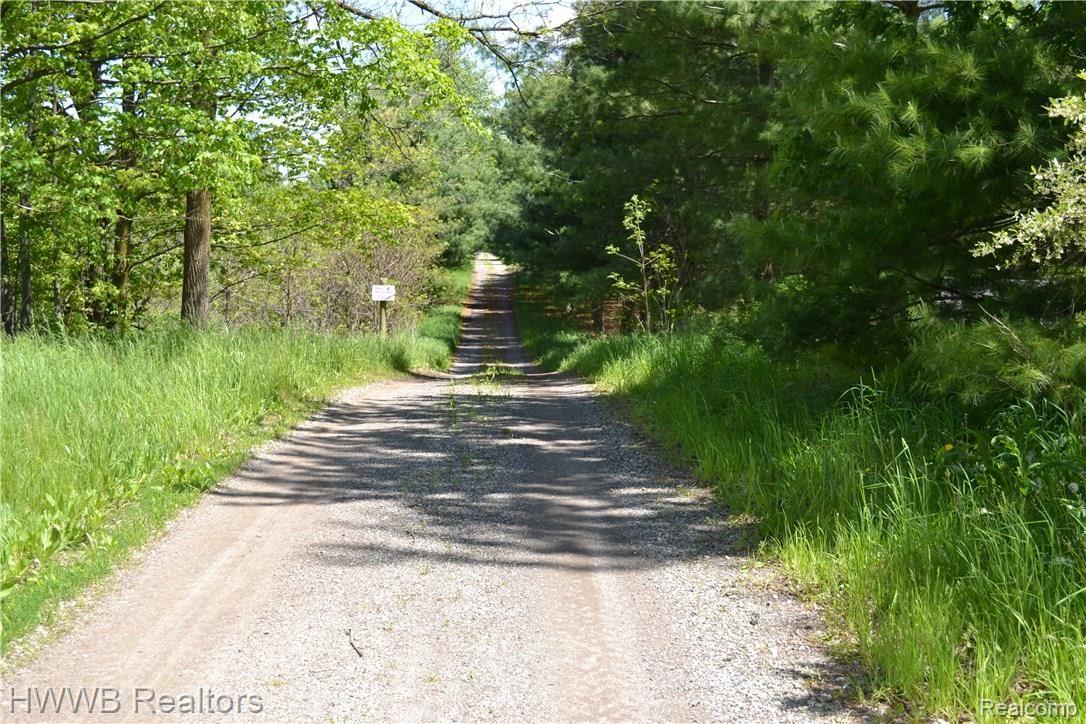 2633 South Lake Pleasant Road Dryden, MI 48428 - Photo 8 of 59 Long Private Entry