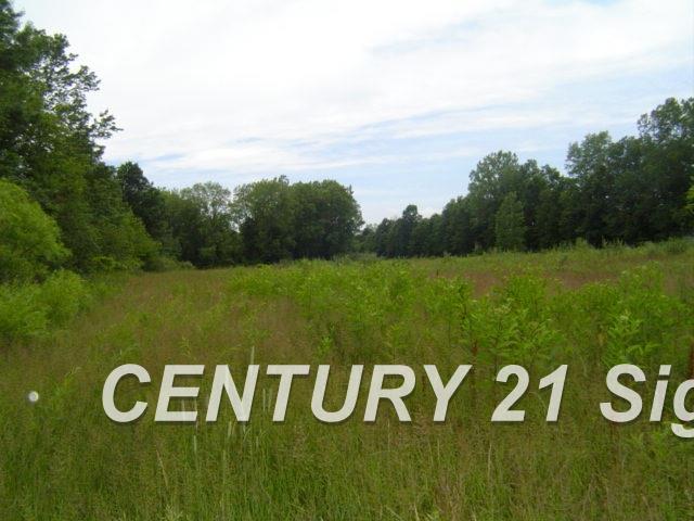 9695 South Raucholz Road St. Charles, MI 48655 - Photo 14 of 16