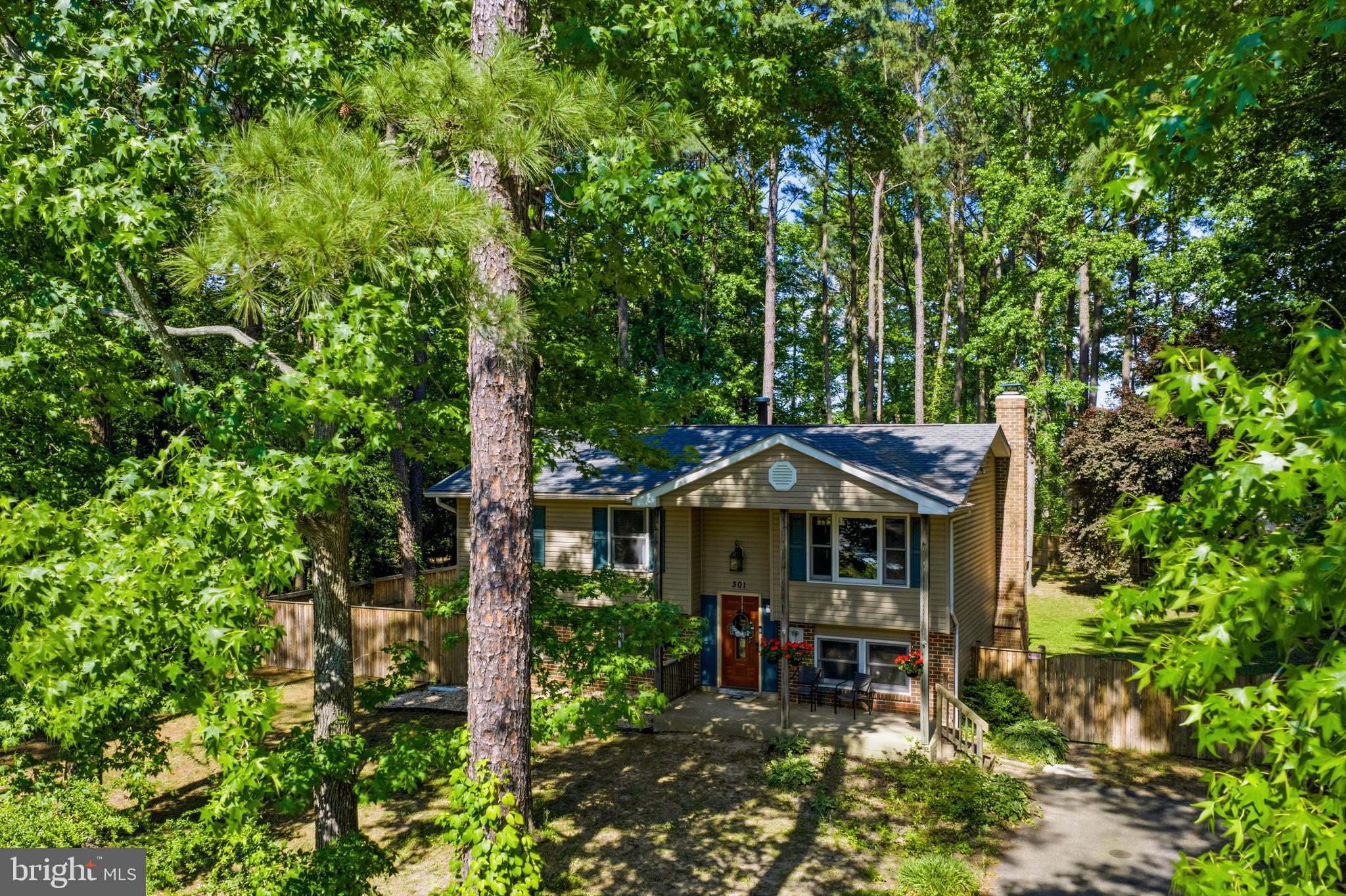301 Wicomico Road Stevensville, MD 21666 - Photo 38 of 38 Nestled in Nature