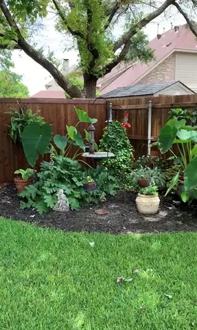 a view of a house with a yard and a garden