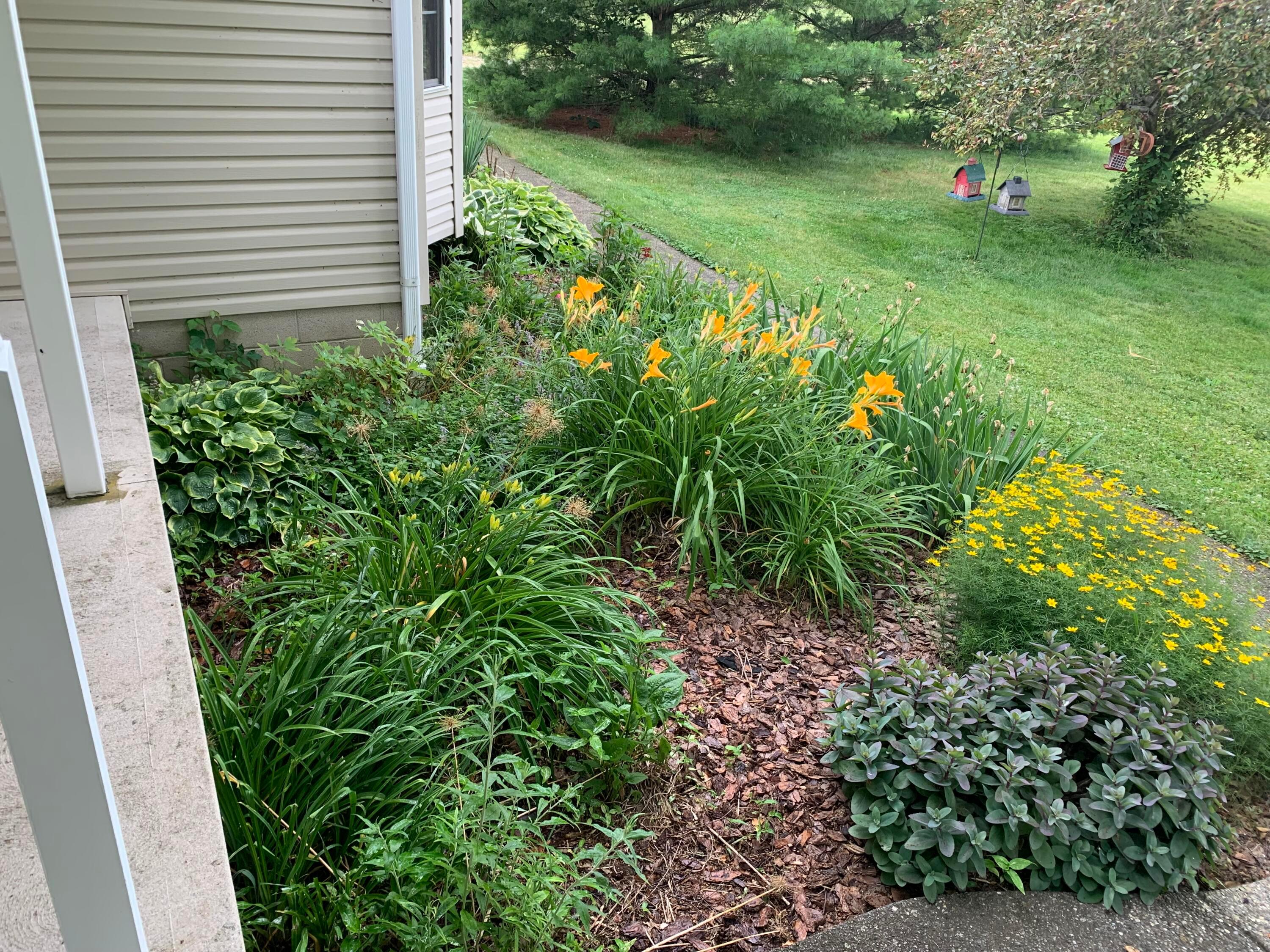 7894 Horseshoe Road Ashley, OH 43003 - Photo 2 of 32 IMG_8708