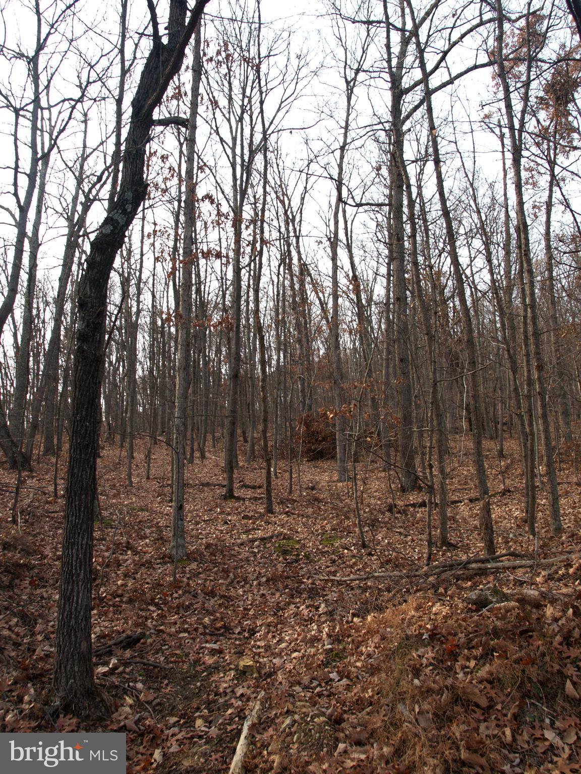 1704 Mercer Road Haymarket, VA 20169 - Photo 3 of 5 Beautiful Mountain Vistas from your Homesite