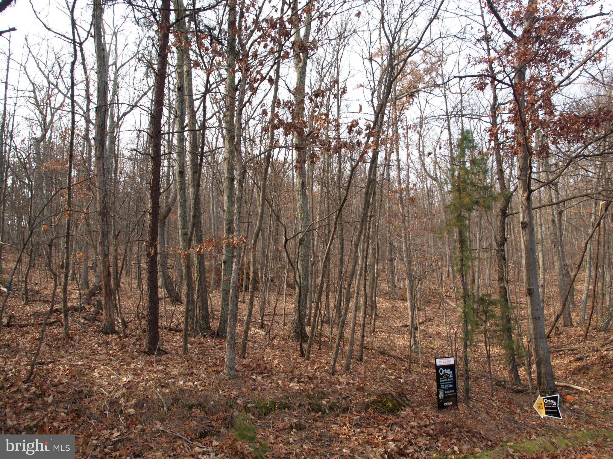 1704 Mercer Road Haymarket, VA 20169 - Photo 4 of 5 Paved Roads to reach Property