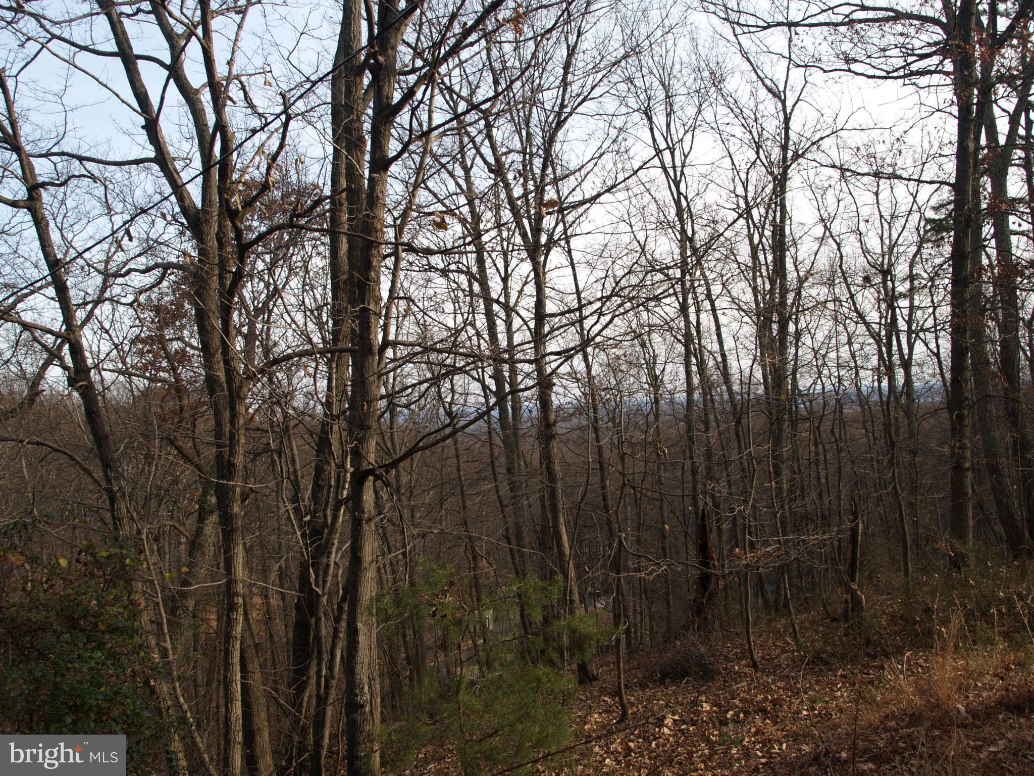1704 Mercer Road Haymarket, VA 20169 - Photo 5 of 5 Scenic Mountain Views looking East