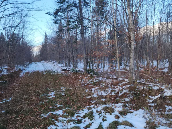 $135,000 | 19-l 1 Off Teses De Souens Road, Grand Isle, ME 04746