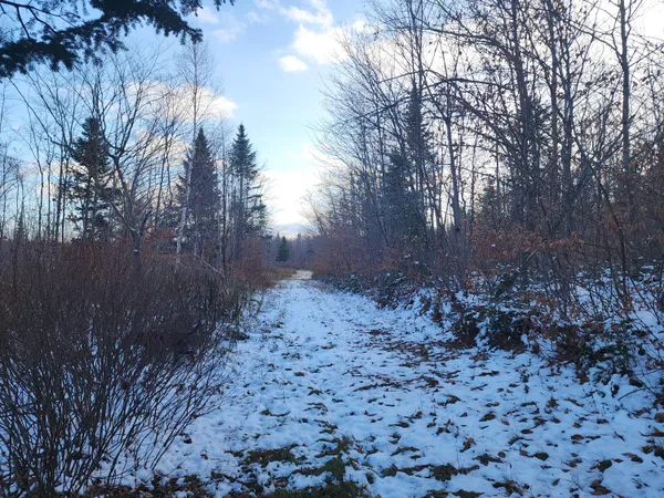 $135,000 | 19-l 1 Off Teses De Souens Road, Grand Isle, ME 04746