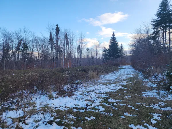 $135,000 | 19-l 1 Off Teses De Souens Road, Grand Isle, ME 04746