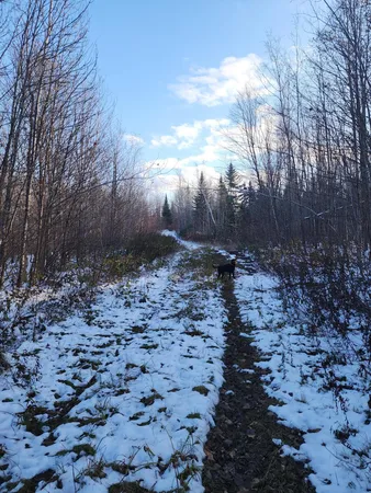 $135,000 | 19-l 1 Off Teses De Souens Road, Grand Isle, ME 04746