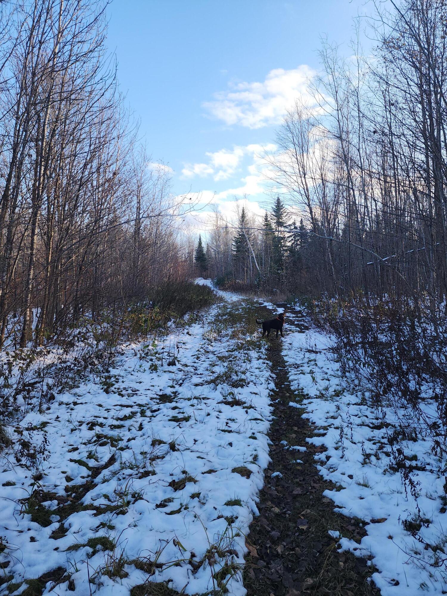 19-l 1 Off Teses De Souens Road Grand Isle, ME 04746 - Photo 5 of 7 20231101_154727