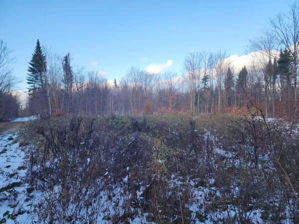 $135,000 | 19-l 1 Off Teses De Souens Road, Grand Isle, ME 04746