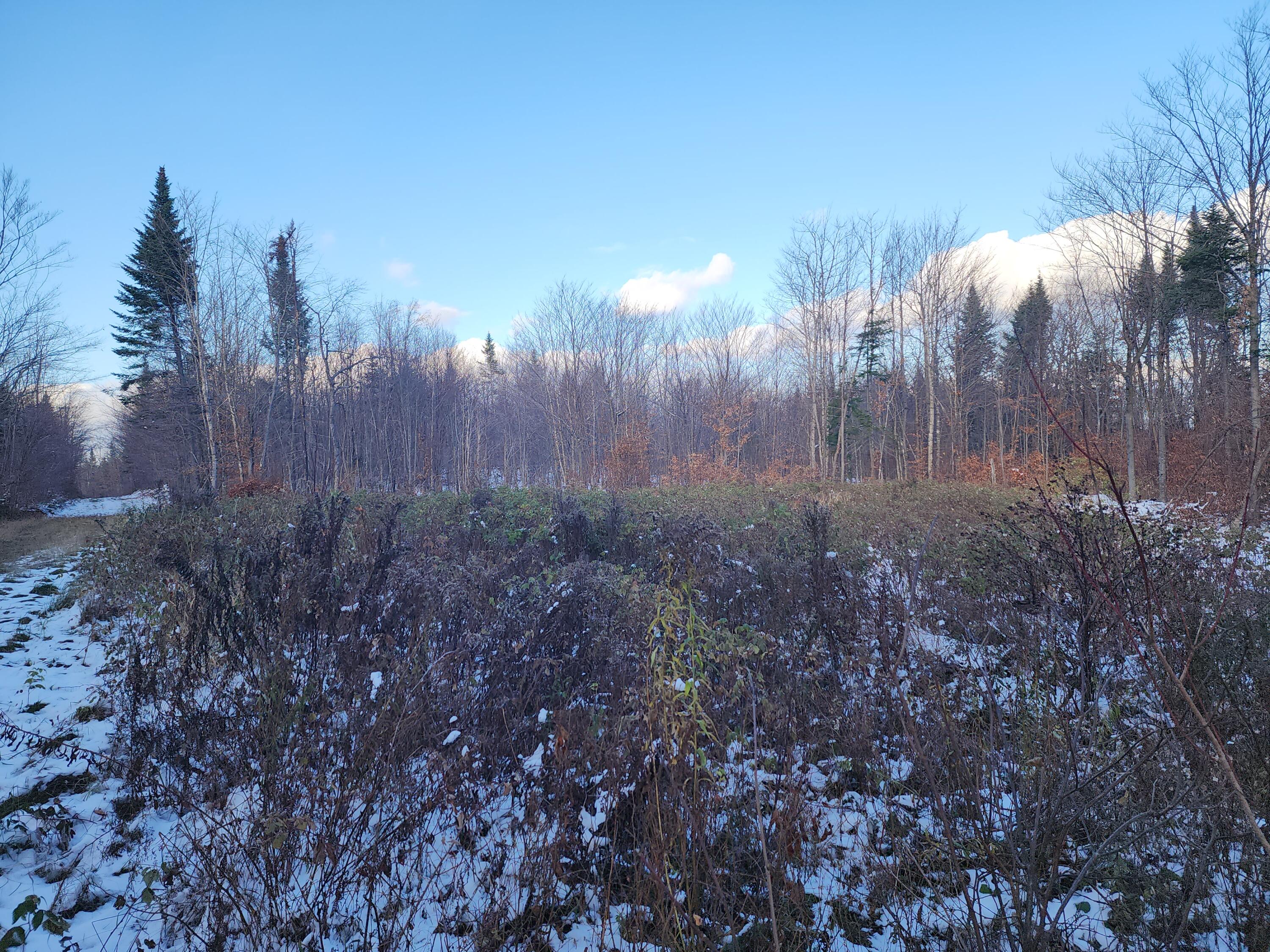 19-l 1 Off Teses De Souens Road Grand Isle, ME 04746 - Photo 6 of 7 20231101_155112