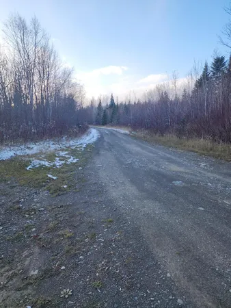 $135,000 | 19-l 1 Off Teses De Souens Road, Grand Isle, ME 04746