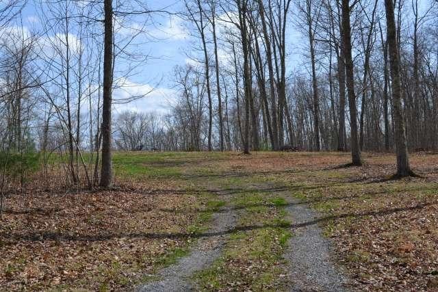 204 Brush Road Lewisburg, WV 24901 - Photo 16 of 60 Gallery Image 16
