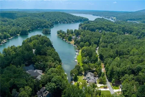 an aerial view of green landscape with trees houses and lake view