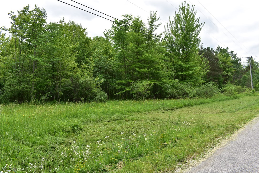 Forman Road Austinburg, OH 44010 - Photo 21 of 21 Gallery Image 21