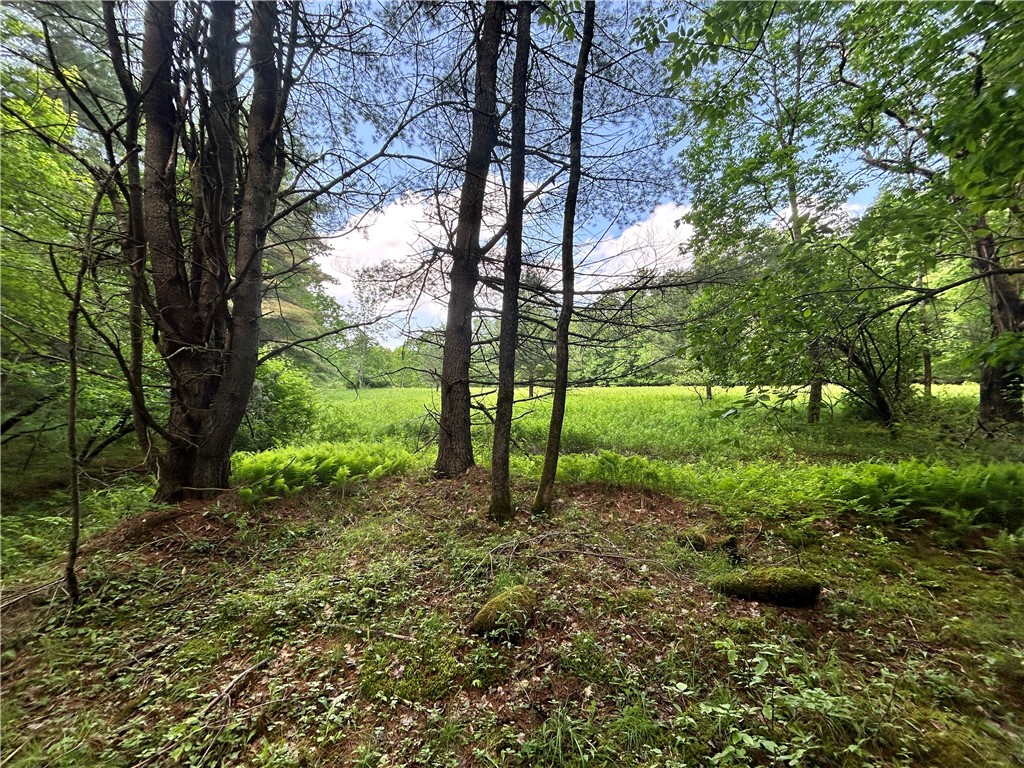 Lot 2 Oregon Road Gilbertsville, NY 13776 - Photo 6 of 7