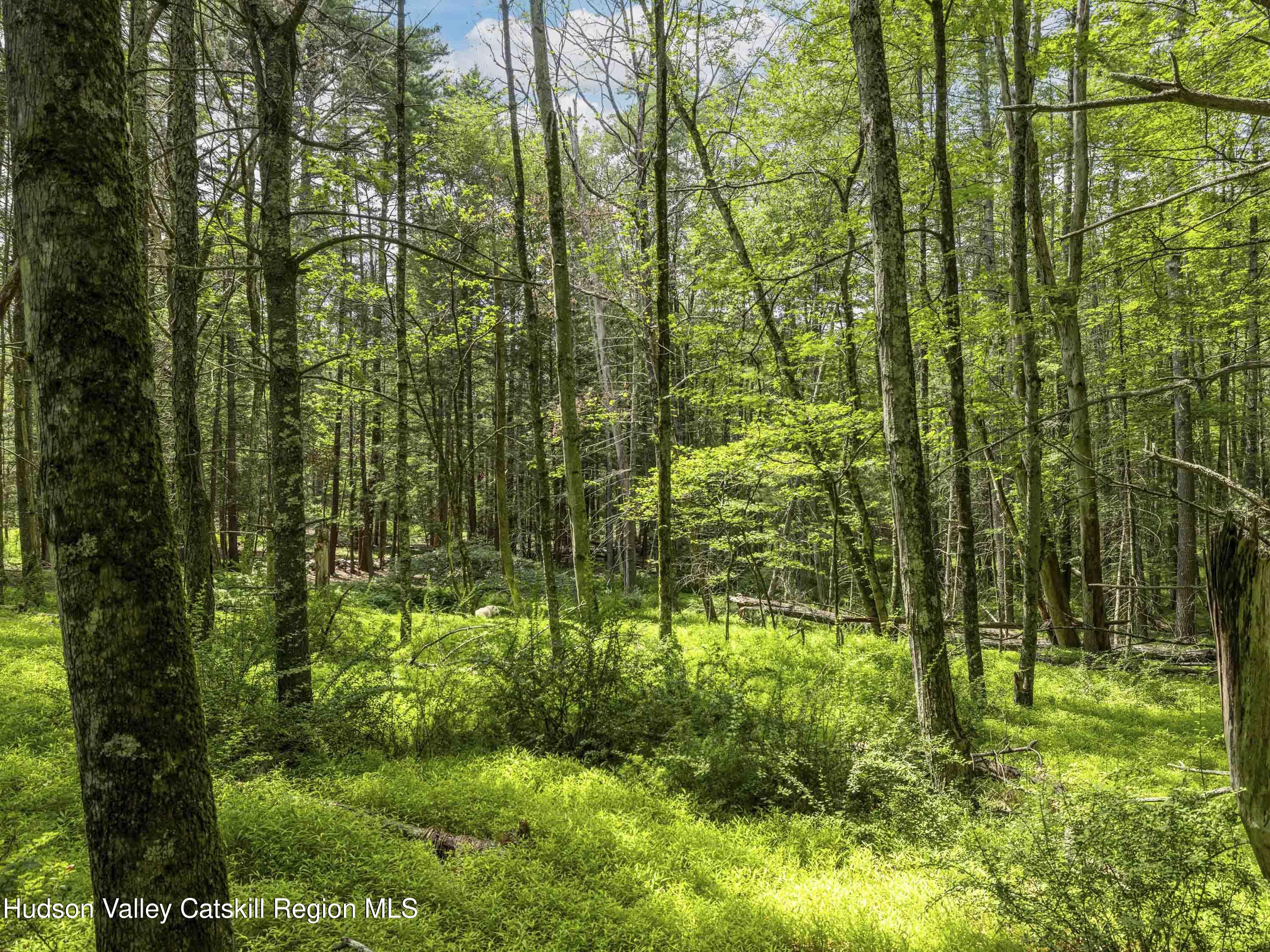 154 Lang Road Accord, NY 12404 - Photo 22 of 40 Lang Road Accord NY 12404 - 14