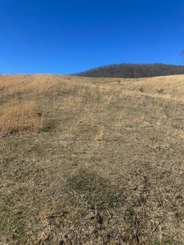 Tbd Flat Ridge Road, Unit 31A67 Mouth Of Wilson, VA 24363 - Photo 8 of 27 Gallery Image 8