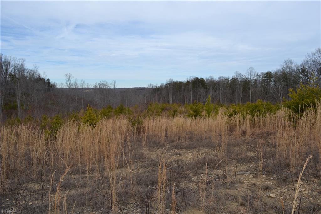 3175 Anglin Mill Road Stoneville, NC 27048 - Photo 9 of 9 Gallery Image 9