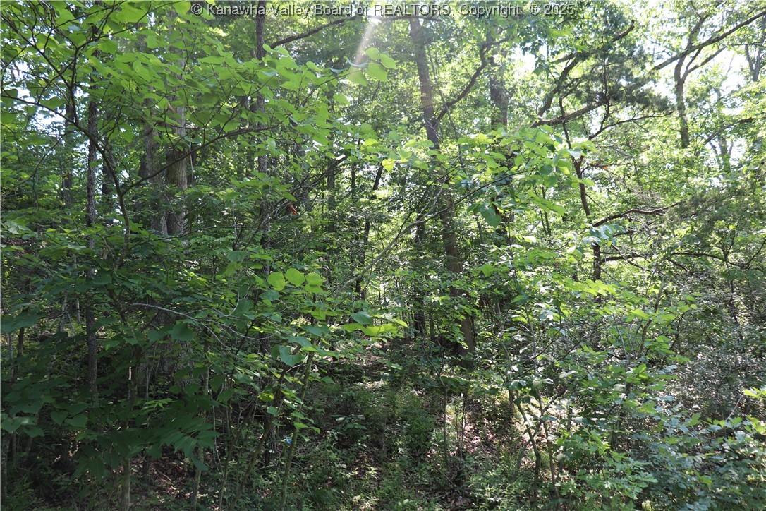 3 Walker Ridge Road Walton, WV 25286 - Photo 10 of 20 Gallery Image 10