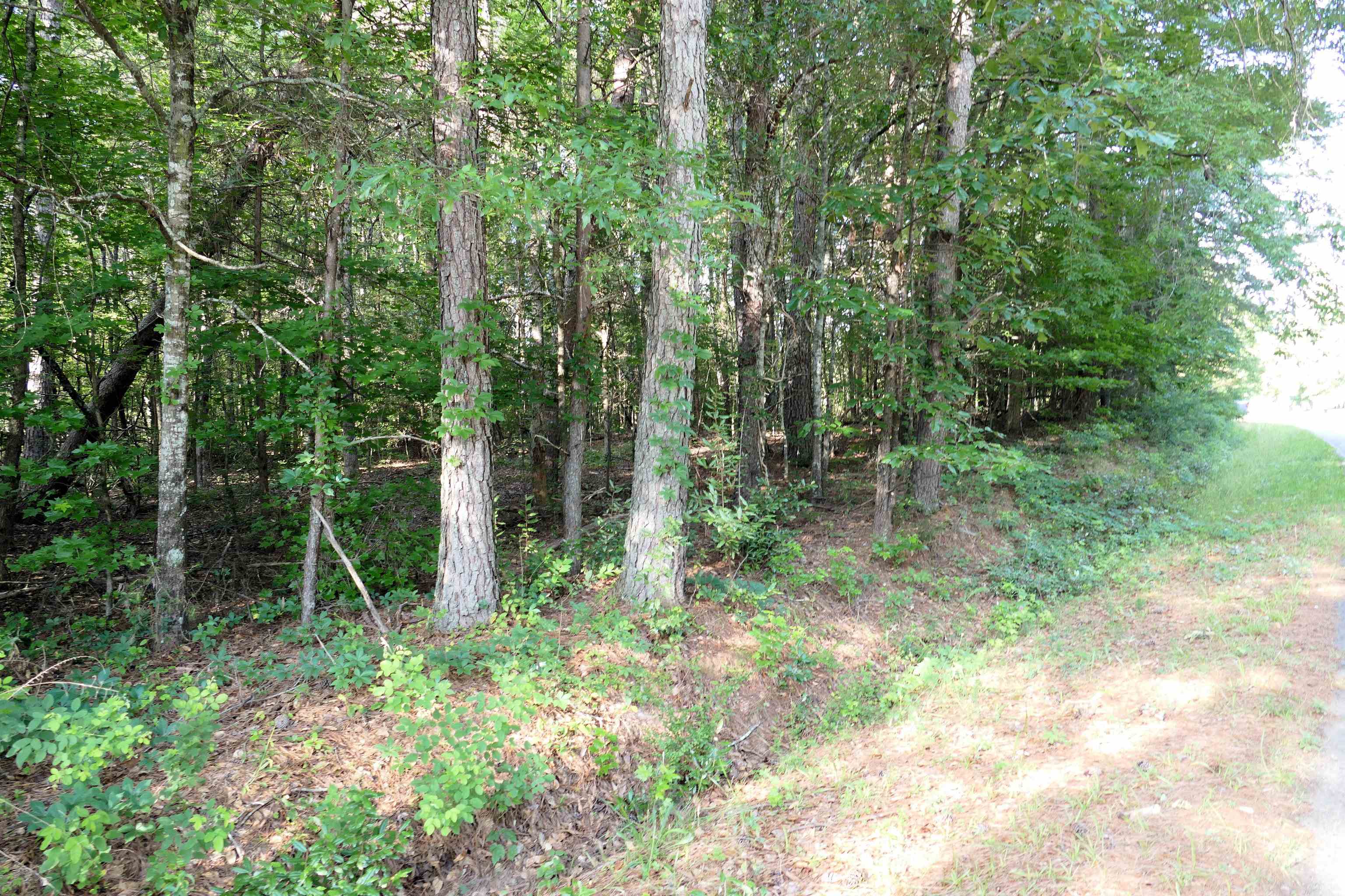 240 Coyl Road Gaffney, SC 29340 - Photo 13 of 13