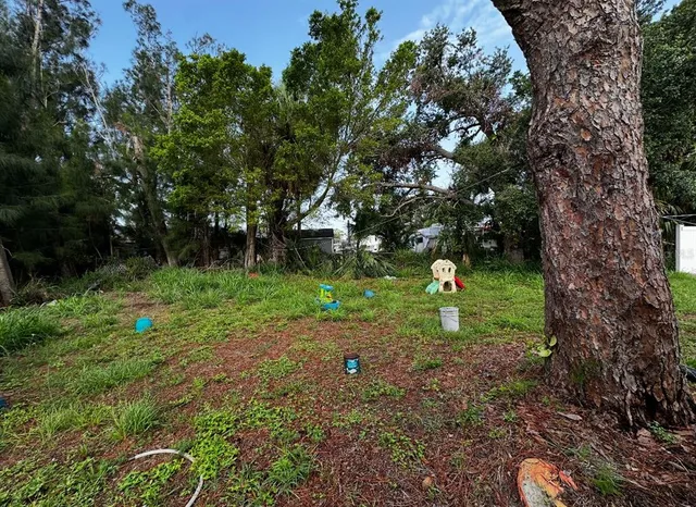a backyard of a house with lots of green space
