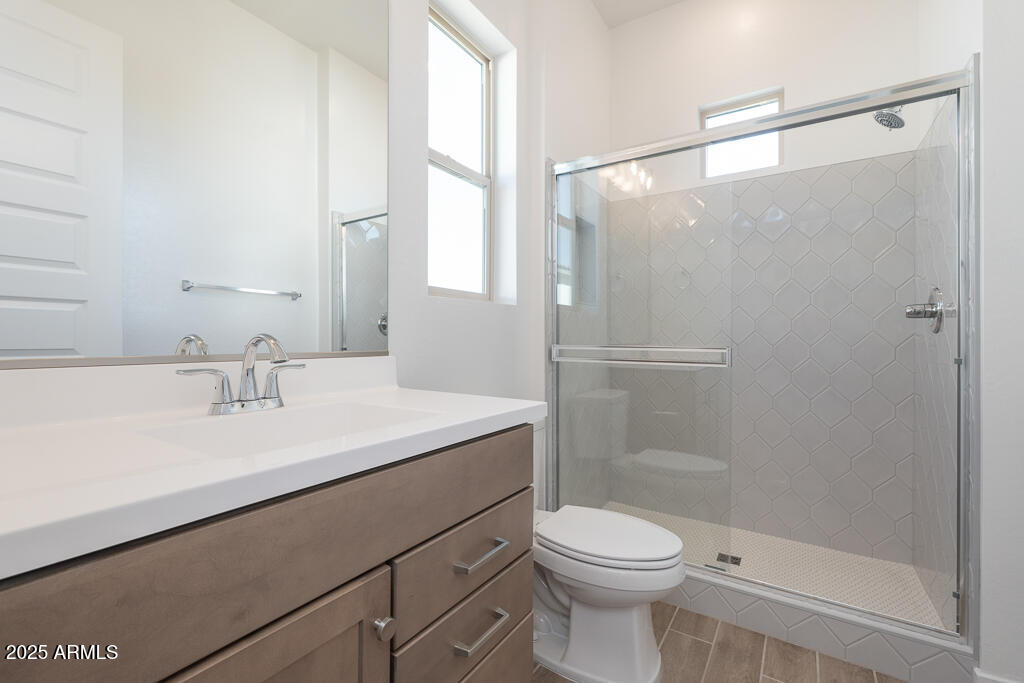 816 Golden Ore Pass Apache Junction, AZ 85120 - Photo 10 of 23 a bathroom with a shower sink vanity mirror and toilet