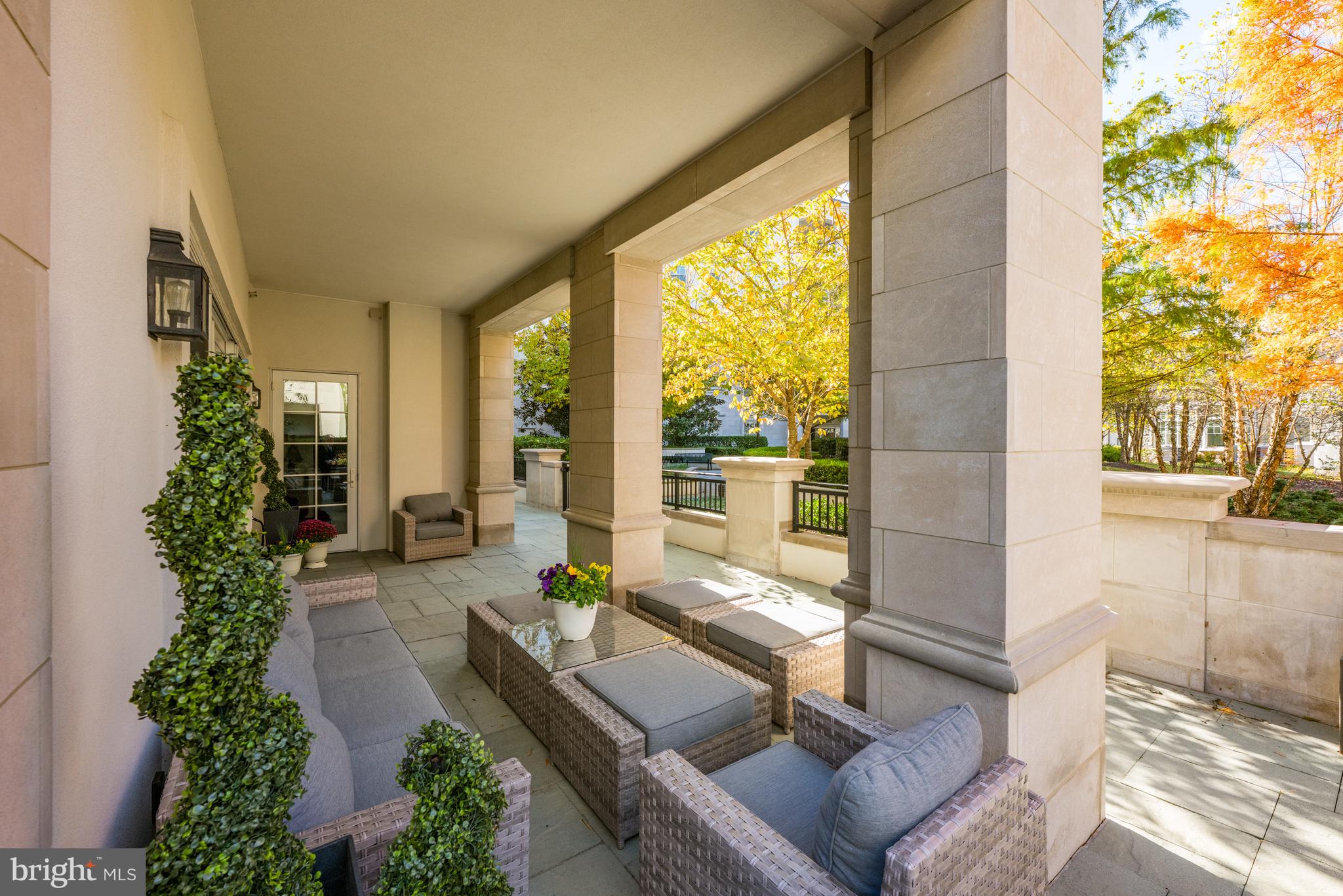 8111 River Road, Unit 116 Bethesda, MD 20817 - Photo 11 of 21 a living room with furniture and a potted plant