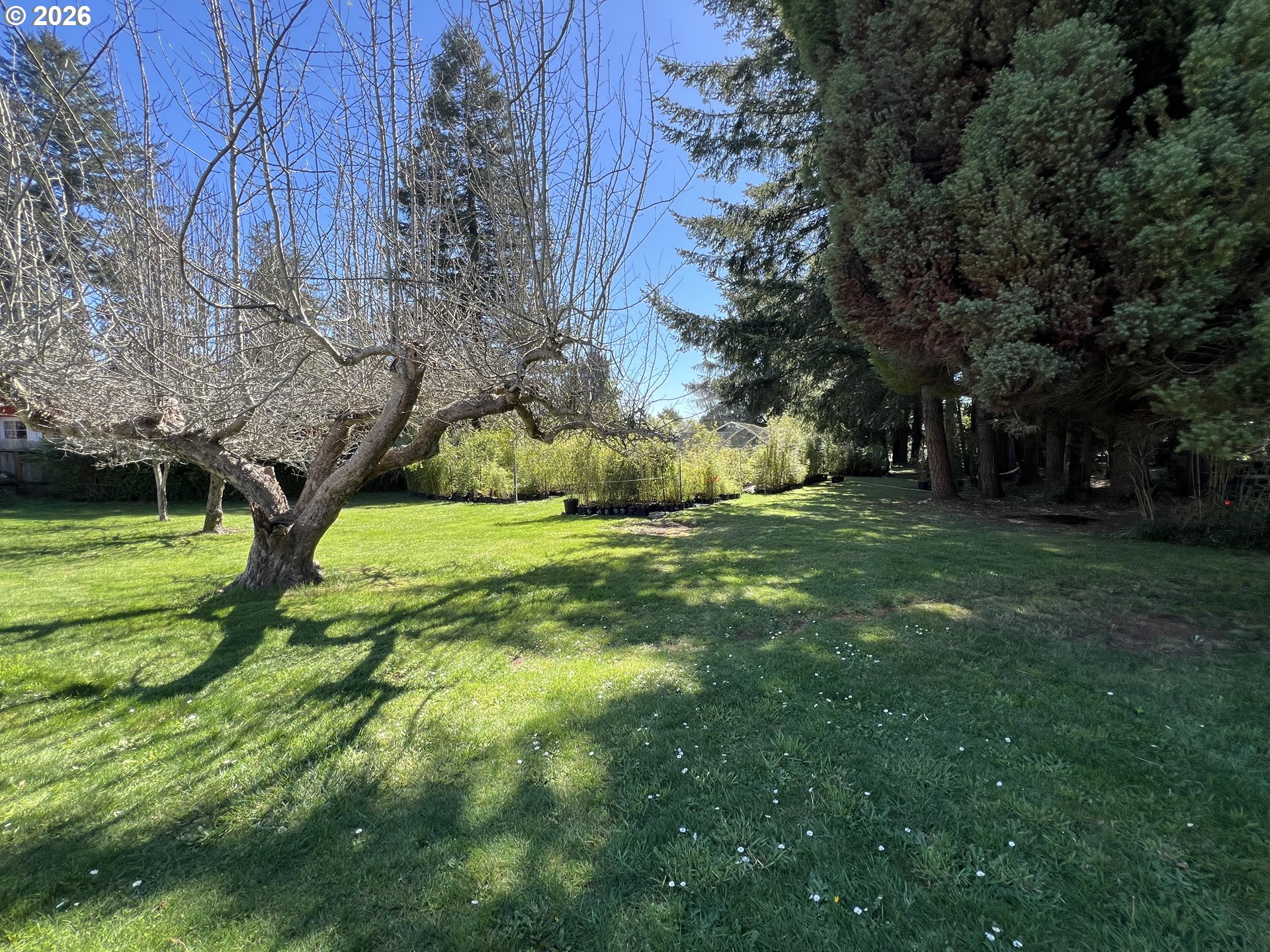 925 7th Street Brookings, OR 97415 - Photo 33 of 48