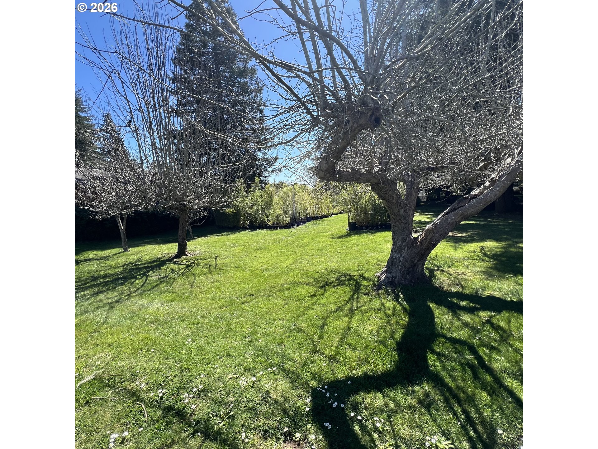 925 7th Street Brookings, OR 97415 - Photo 34 of 48