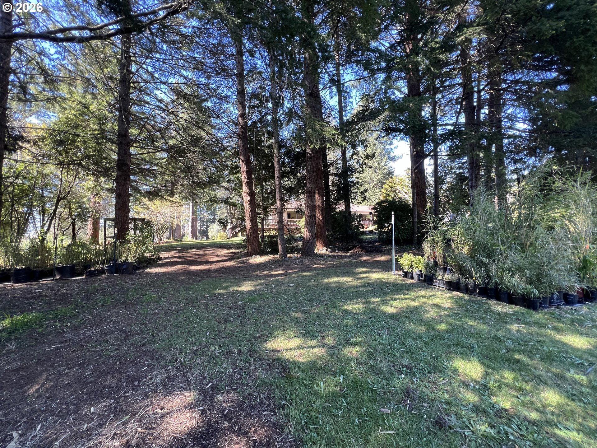 925 7th Street Brookings, OR 97415 - Photo 37 of 48