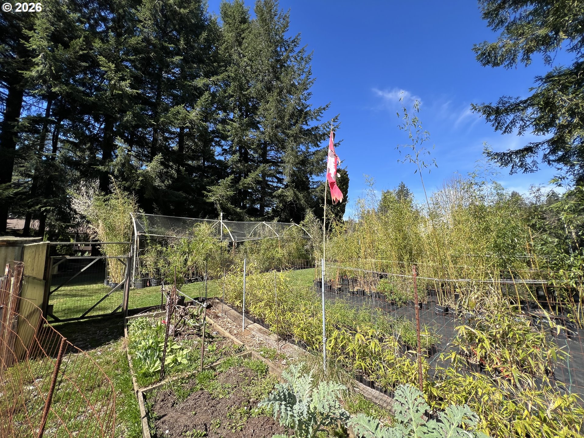 925 7th Street Brookings, OR 97415 - Photo 38 of 48