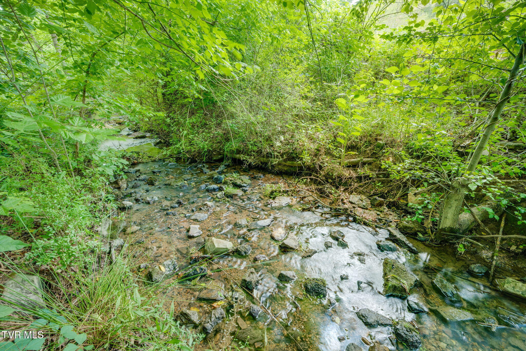 2937 Forest View Road Kingsport, TN 37660 - Photo 42 of 52 041