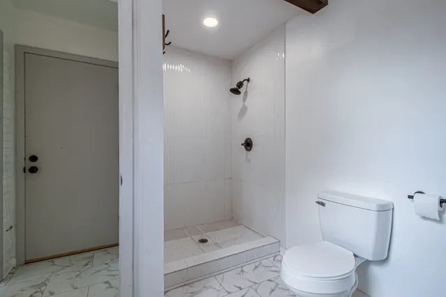 a bathroom with a shower and a toilet