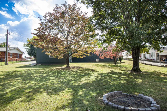 a view of a trees in front of a house with a big yard