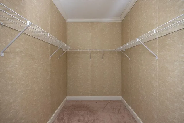 a view of a room with racks on the wall